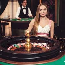365 slot